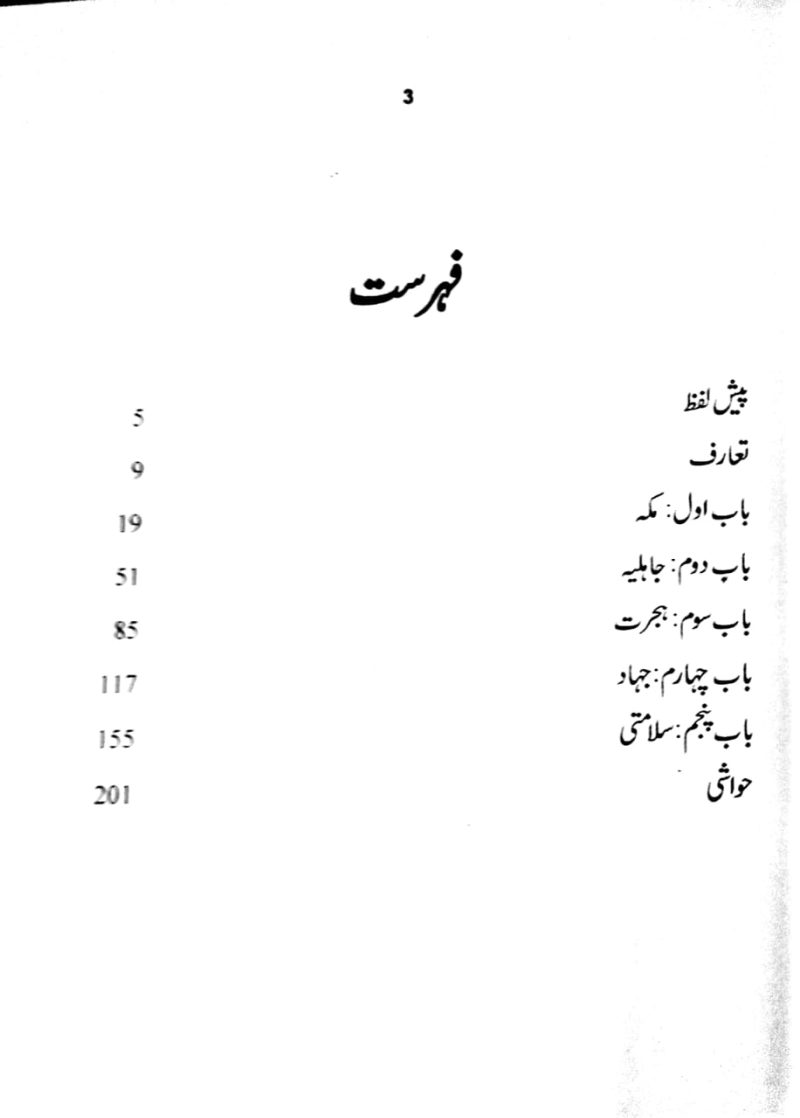Muhammad Asre Hazir Ke Paighambar, محمد عصر حاضر کے پیغمبرِ - Image 2