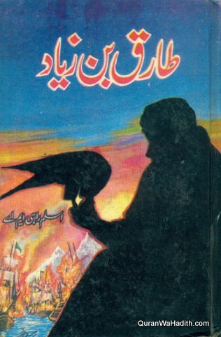 Tariq Bin Ziyad Novel