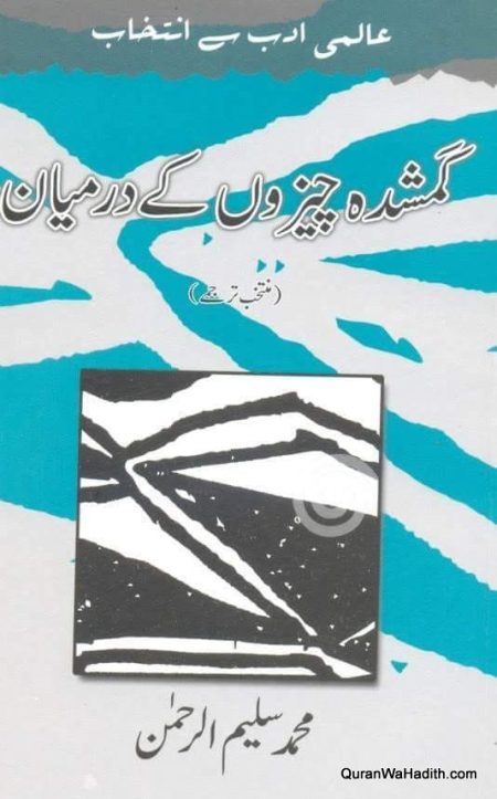 Gumshuda Cheezon Ke Darmiyan