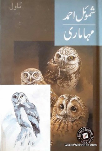 Mahamari Novel