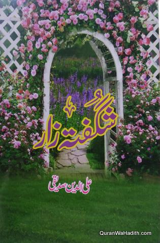 Shagufta Raz