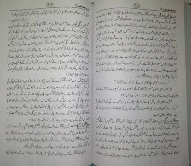 Seerat e Mustafa Sallallahu Alaihi Wasallam, سیرت مصطفیٰ صلی اللہ تعالی علیہ وسلم - Image 3