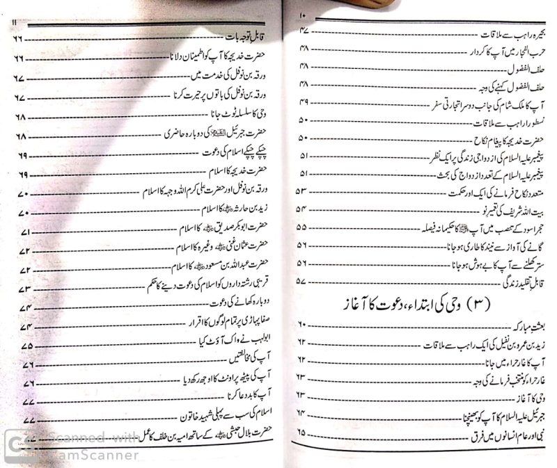 Khutbat e Seerat e Tayyaba, خطبات سیرت طیبہ - Image 4