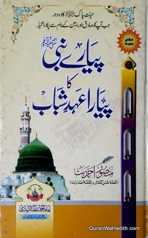Pyare Nabi Ka Pyare Ahad e Shabab