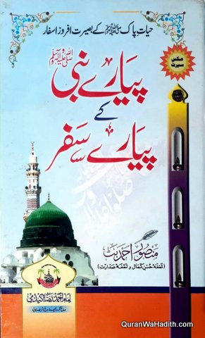 Pyare Nabi Ke Pyare Safar
