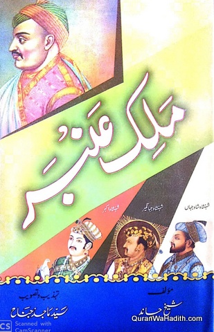Malik Ambar