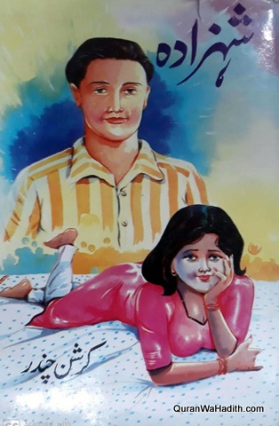 Shehzada Novel