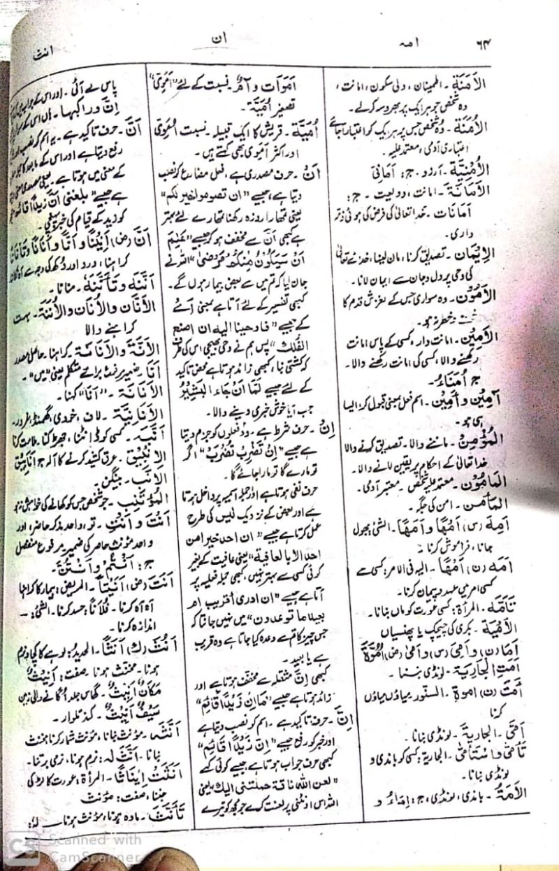 Al Munjid Arabic Urdu Lughat, المنجد عربی اردو لغت, جدید ایڈیشن, جدید تصویر جامع لغت - Image 2