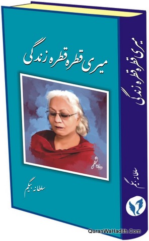 Meri Qatra Qatra Zindagi