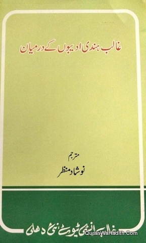 Ghalib Hindi Adibon Ke Darmiyan