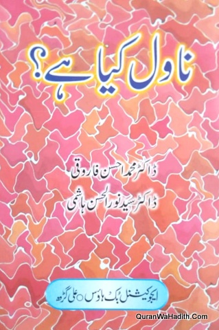 Novel Kya Hai
