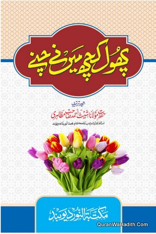 Phool Kuch Mene Chune