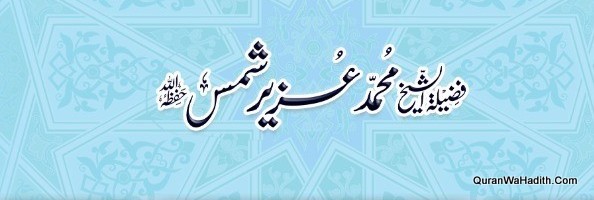 شیخ محمد عزیر شمس احوال و آثار اور علمی خدمات