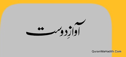 مختار مسعود اور آواز دوست