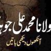 مولانا محمد علی جوہر آنکھوں دیکھی باتیں