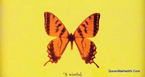 Palak Tak Zindagi Urdu Tarjuma The Diving Bell And The Butterfly