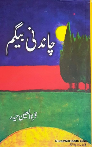 Chandni Begum Novel, چاندنی بیگم ناول