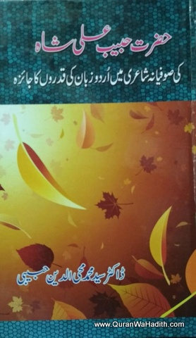 Hazrat Habib Ali Shah, حضرت حبیب علی شاہ کی صوفیانہ شاعری میں اردو زبان کی قدروں کا جائزہ