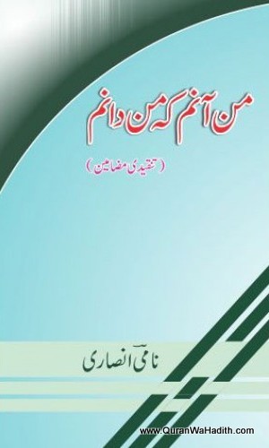Man Anam Ke Man Danam, Tanqeedi Mazameen, من آنم کہ من دانم