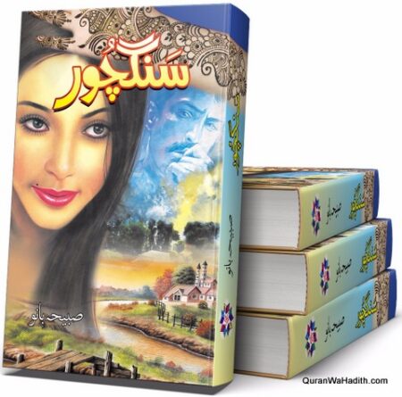 Sangchoor Novel, سنگچور ناول