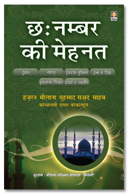 6 Number Ki Mehnat - Hindi