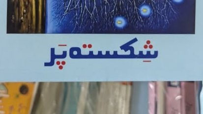 شکستہ پر ناول